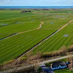 Reetdachhaus, Sauna, E-bikes, 6 Personen 펜션 *