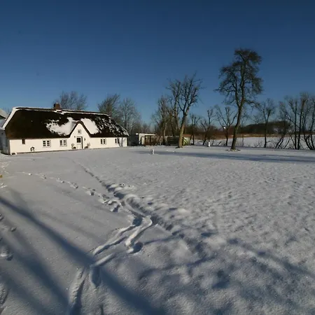 Reetdachhaus, Sauna, E-bikes, 6 Personen *