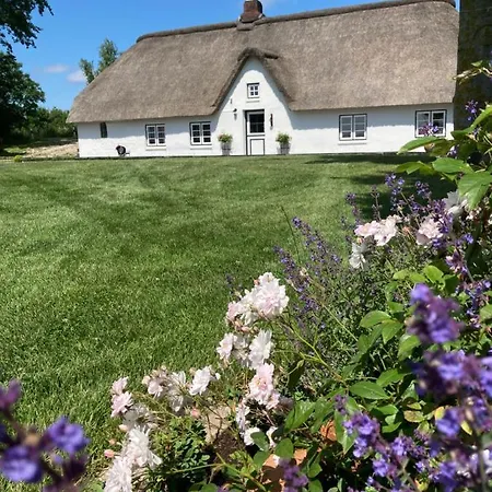Reetdachhaus, Sauna, E-bikes, 6 Personen Osterhever