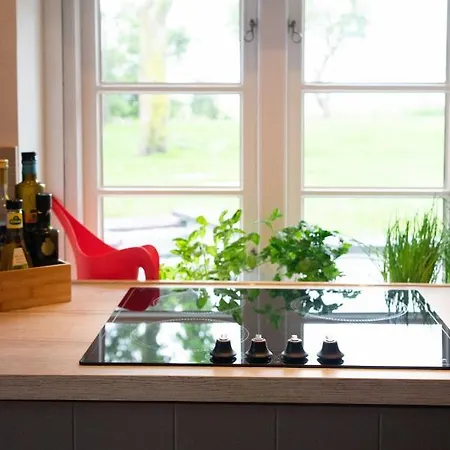 Holiday home Reetdachhaus, Sauna, E-bikes, 6 Personen