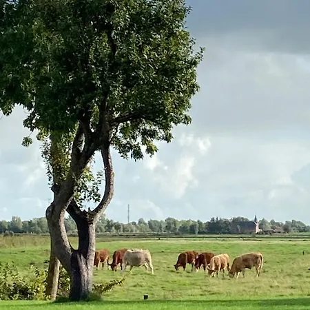 Reetdachhaus, Sauna, E-bikes, 6 Personen Casa de Férias