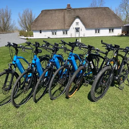 Reetdachhaus, Sauna, E-bikes, 6 Personen Osterhever