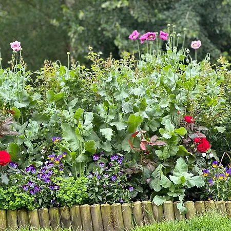 Reetdachhaus, Sauna, E-bikes, 6 Personen * Osterhever