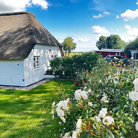 Reetdachhaus, Sauna, E-bikes, 6 Personen Nyaraló *