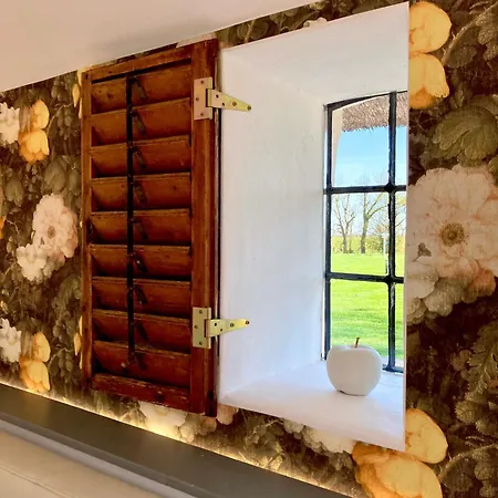 Reetdachhaus, Sauna, E-bikes, 6 Personen