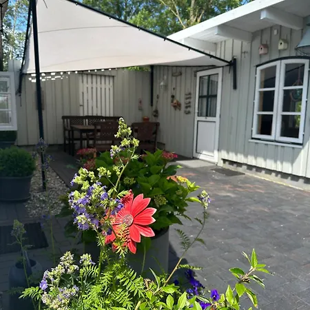 Reetdachhaus, Sauna, E-bikes, 6 Personen Casa de Férias *