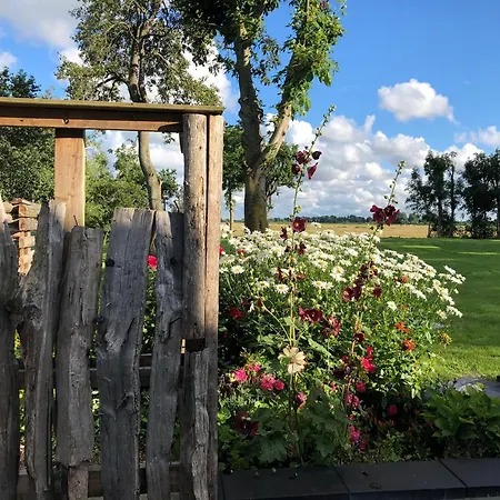 Reetdachhaus, Sauna, E-bikes, 6 Personen Osterhever