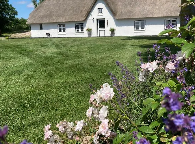 Reetdachhaus, Sauna, E-bikes, 6 Personen Osterhever