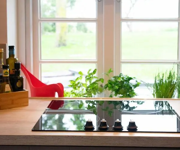 Ferienhaus Reetdachhaus, Sauna, E-bikes, 6 Personen