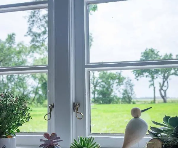 Ferienhaus Reetdachhaus, Sauna, E-bikes, 6 Personen Osterhever