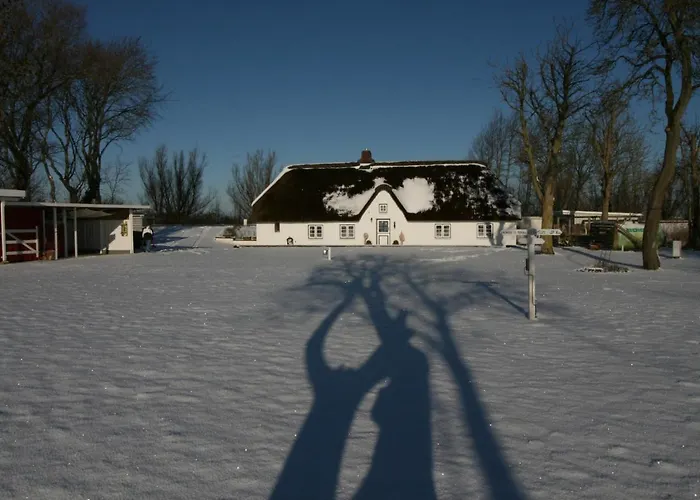 Vakantiehuis Reetdachhaus, Sauna, E-bikes, 6 Personen *