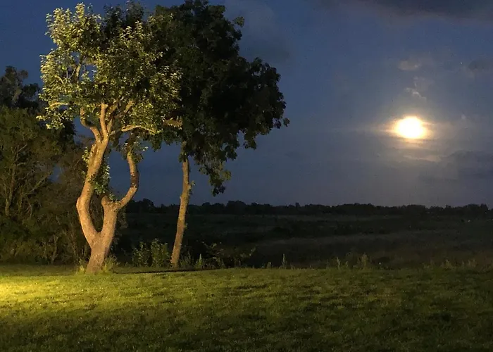 Ferienhaus Reetdachhaus, Sauna, E-bikes, 6 Personen