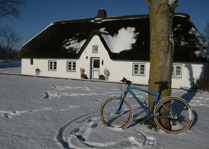 Reetdachhaus, Sauna, E-bikes, 6 Personen Vakantiehuis Osterhever
