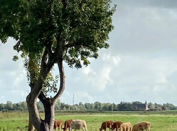 Reetdachhaus, Sauna, E-bikes, 6 Personen Vakantiehuis