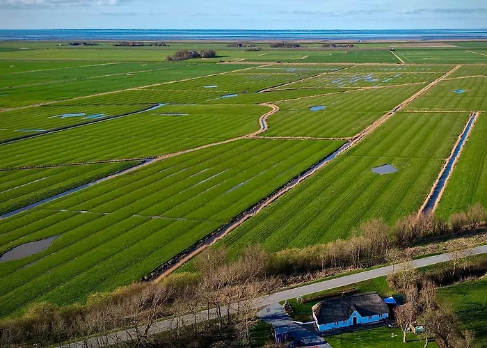Reetdachhaus, Sauna, E-bikes, 6 Personen Vakantiehuis *