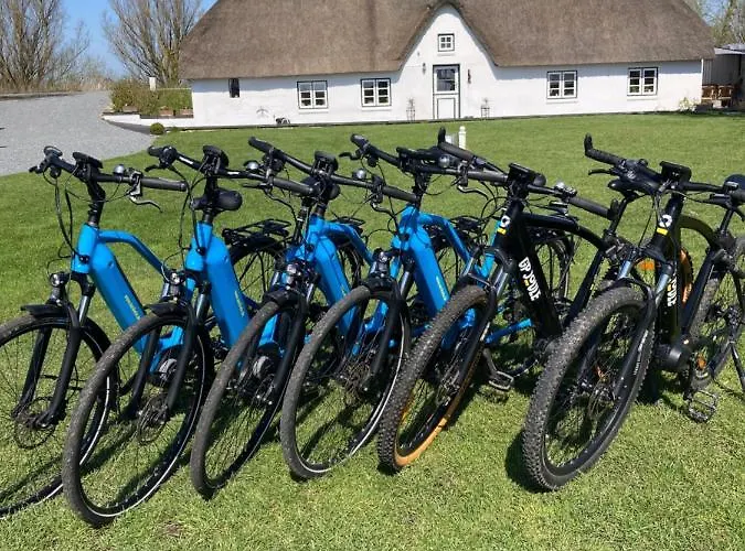 Reetdachhaus, Sauna, E-bikes, 6 Personen Osterhever
