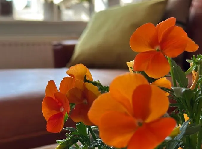 Reetdachhaus, Sauna, E-bikes, 6 Personen *