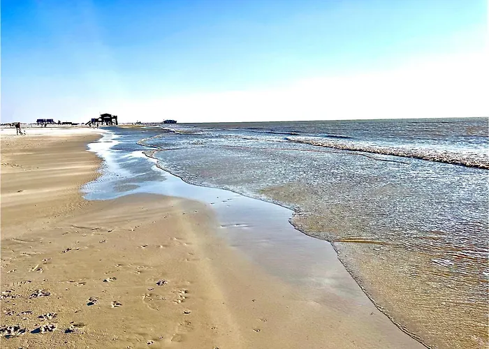 Reetdachhaus, Sauna, E-bikes, 6 Personen