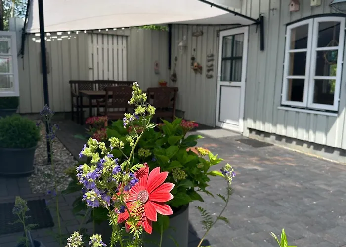 Reetdachhaus, Sauna, E-bikes, 6 Personen Vakantiehuis