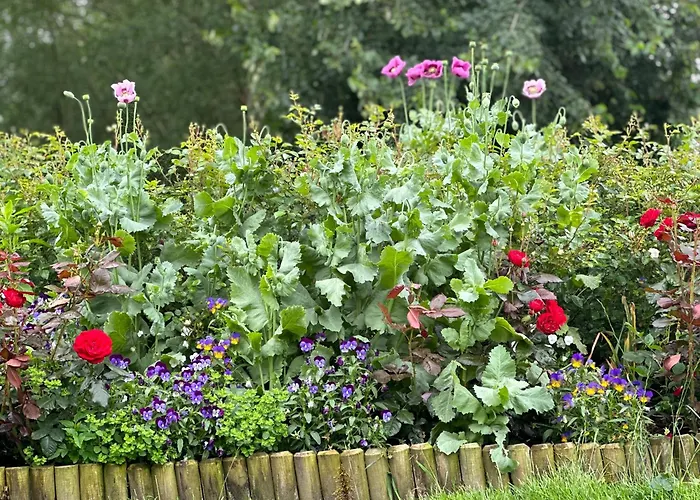 Reetdachhaus, Sauna, E-bikes, 6 Personen * Osterhever