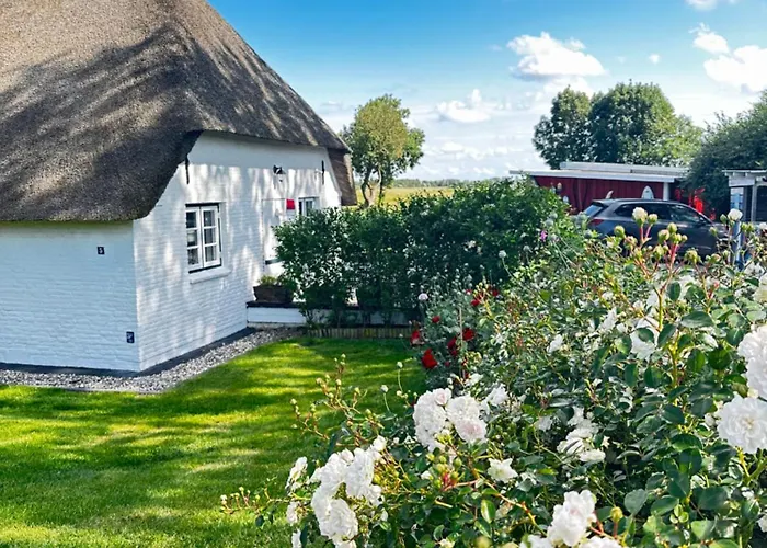 Reetdachhaus, Sauna, E-bikes, 6 Personen Ferienhaus *