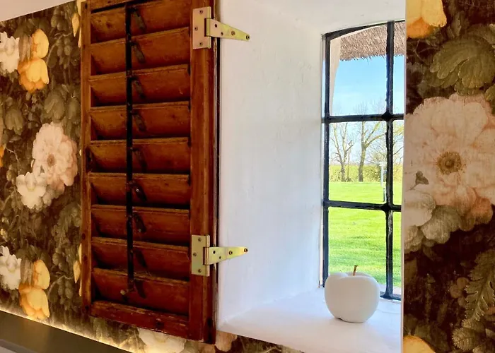 Reetdachhaus, Sauna, E-bikes, 6 Personen