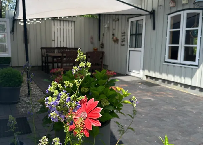 Reetdachhaus, Sauna, E-bikes, 6 Personen Ferienhaus *