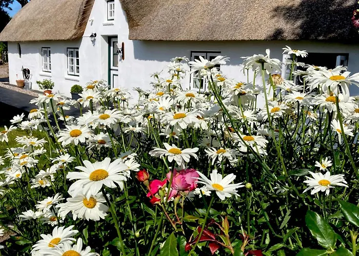 Reetdachhaus, Sauna, E-bikes, 6 Personen Ferienhaus Osterhever